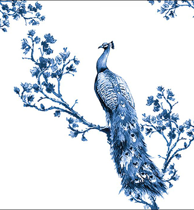  -  - Royal Peacock