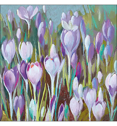 13317005 - Ambiente - Crocus