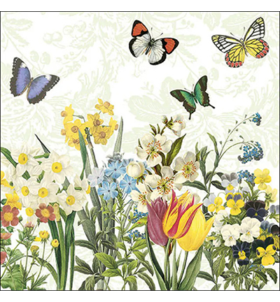 13317015 - Ambiente - Spring bloomers