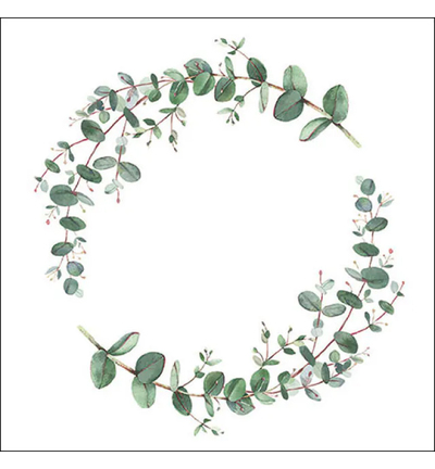 13317160 - Ambiente - Eucalyptus branch white