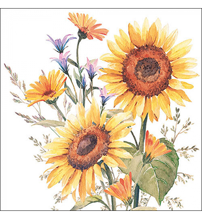  -  - Sunflowers