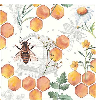 13317510 - Ambiente - Honeycomb