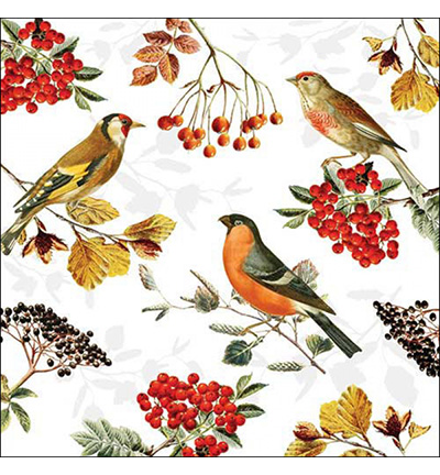 13317730 - Ambiente - Autumn birds