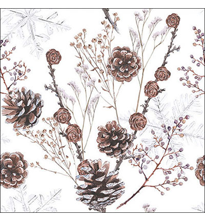 13317835 - Ambiente - Pine cones white