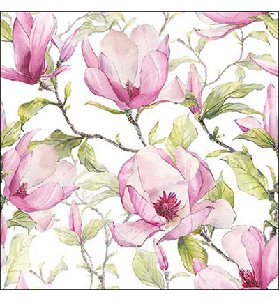  -  - Blooming magnolia