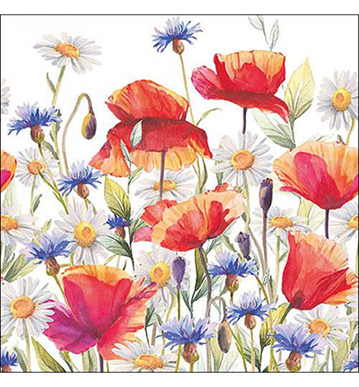 13318640 - Ambiente - Poppies and cornflowers