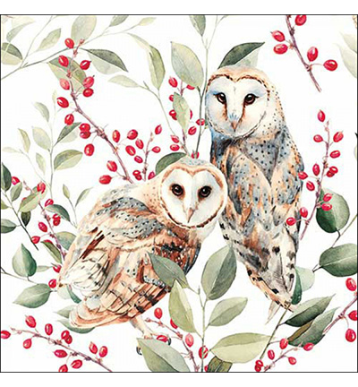 13318685 - Ambiente - Barn owl couple white