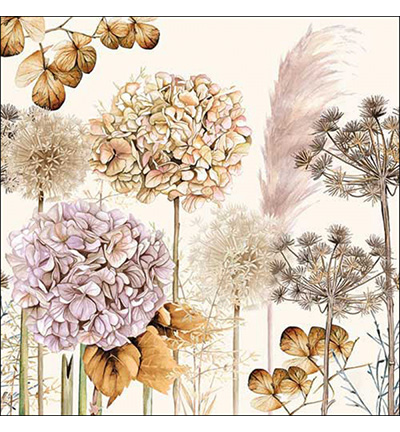 13318690 - Ambiente - Dried flowers