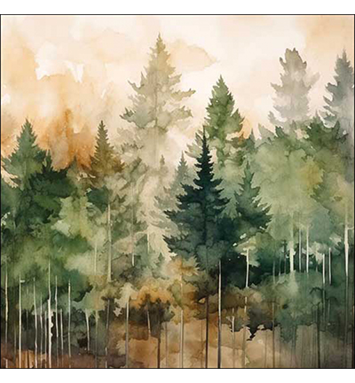 13318825 - Ambiente - Evergreen trees