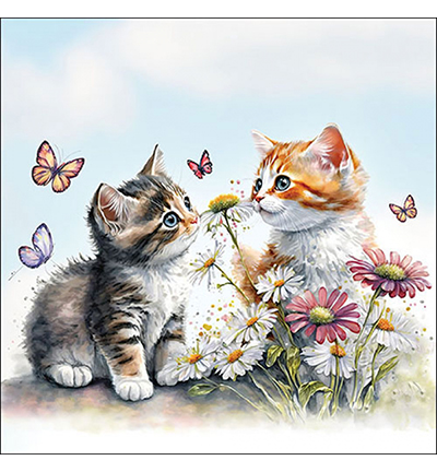 13319355 - Ambiente - Kittens in flower field