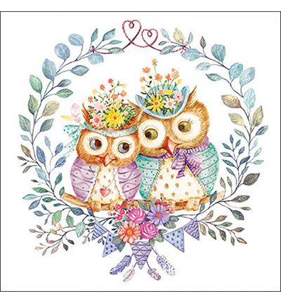 13319405 - Ambiente - Owl couple in love