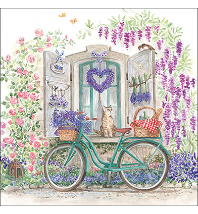 13319410 - Ambiente - Bike with basket