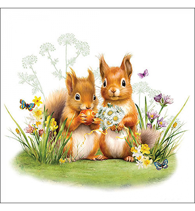 13319465 - Ambiente - Little squirrels