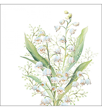 13319550 - Ambiente - Lily of the valley white