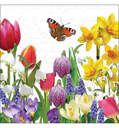 13319640 - Ambiente - Spring feeling