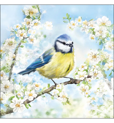 13320355 - Ambiente - Blossom time