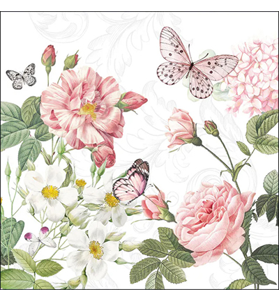 13320375 - Ambiente - Amelia white