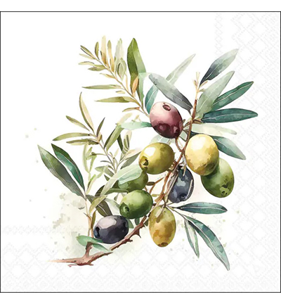 13320650 - Ambiente - Olive branch