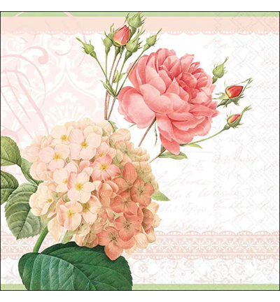 13320690 - Ambiente - Claudia