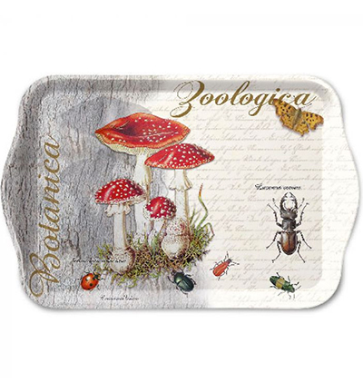 13713675 - Ambiente - Fly Agaric and Beetle