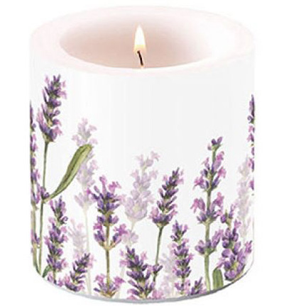 19215985 - Ambiente - Lavender Shades White