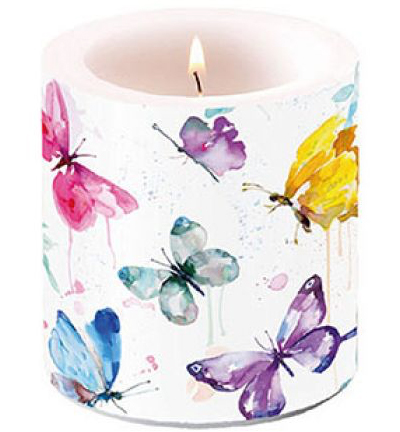 19216265 - Ambiente - Butterfly Collection White