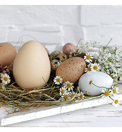 23314290 - Ambiente - Pastel eggs