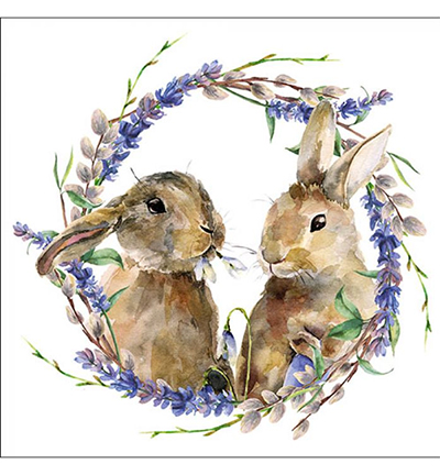 23314855 - Ambiente - Rabbit Wreath