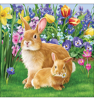 23317110 - Ambiente - Mother bunny
