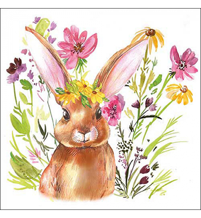 23318425 - Ambiente - Girl bunny