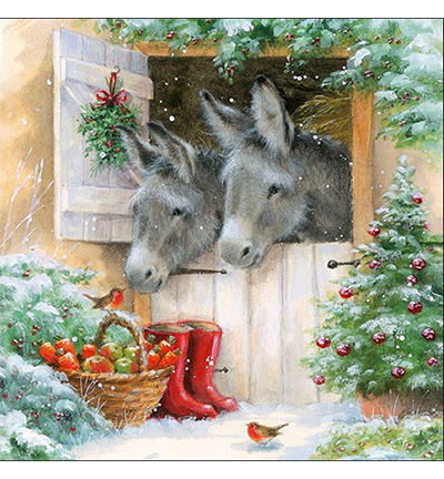 33303990 - Ambiente - Santas Donkeys