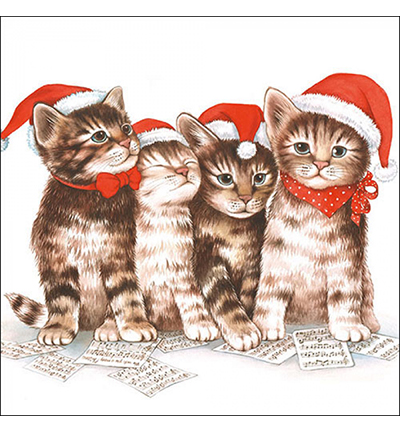 33304765 - Ambiente - Singing cats
