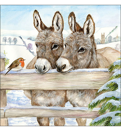 33310495 - Ambiente - Donkeys