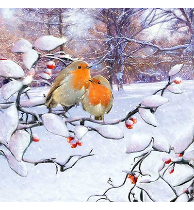 33313415 - Ambiente - Robins On Branch