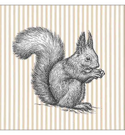 33315500 - Ambiente - Etching Squirrel lines