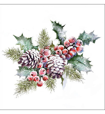 33315570 - Ambiente - Holly And Berries
