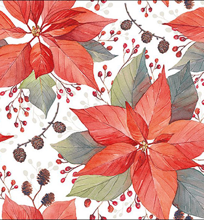 33316490 - Ambiente - Poinsettia and Berries