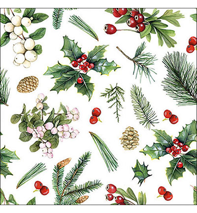 33316495 - Ambiente - Winter greenery white