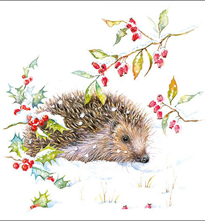  -  - Hedgehog in Winter