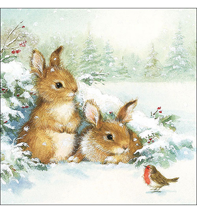 33317985 - Ambiente - Friends in snow