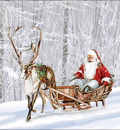 33318105 - Ambiente - Santa in snowy forest