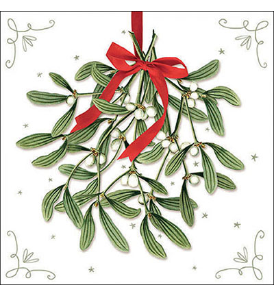 33318860 - Ambiente - Mistletoe with bow white