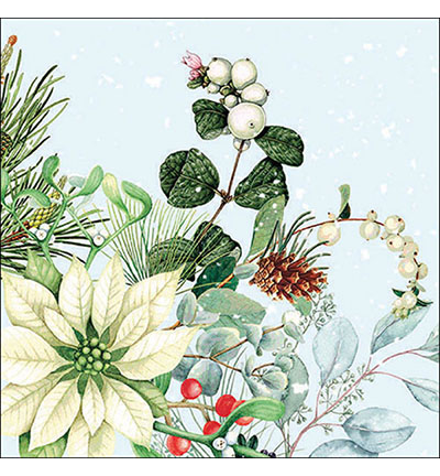 33318990 - Ambiente - White poinsettia