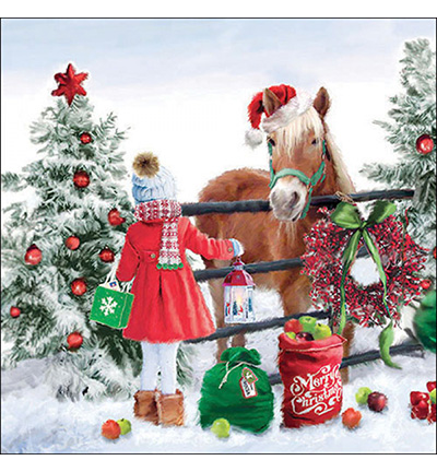 33319035 - Ambiente - Horse girl