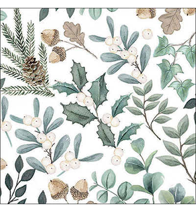 33319040 - Ambiente - Collection of leaves