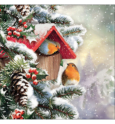 33319100 - Ambiente - House with robins