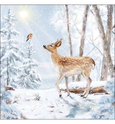 33319220 - Ambiente - Meeting in winterworld