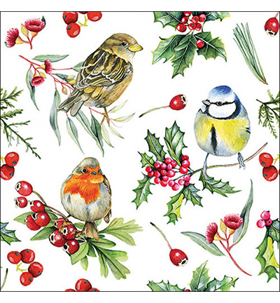 33319955 - Ambiente - Birds in winter