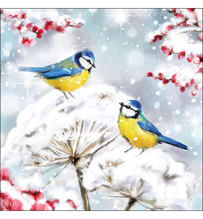 33320005 - Ambiente - Birds in the snow