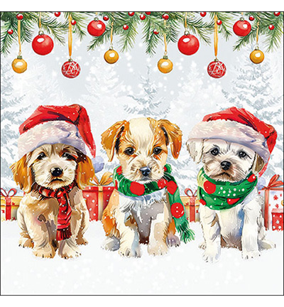 33320090 - Ambiente - Funny cute puppies
